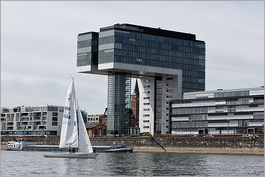 100 Jahre Rheinwoche 2022 - 1. Wettfahrt Porz - Hitdorf, 03.06.2022,